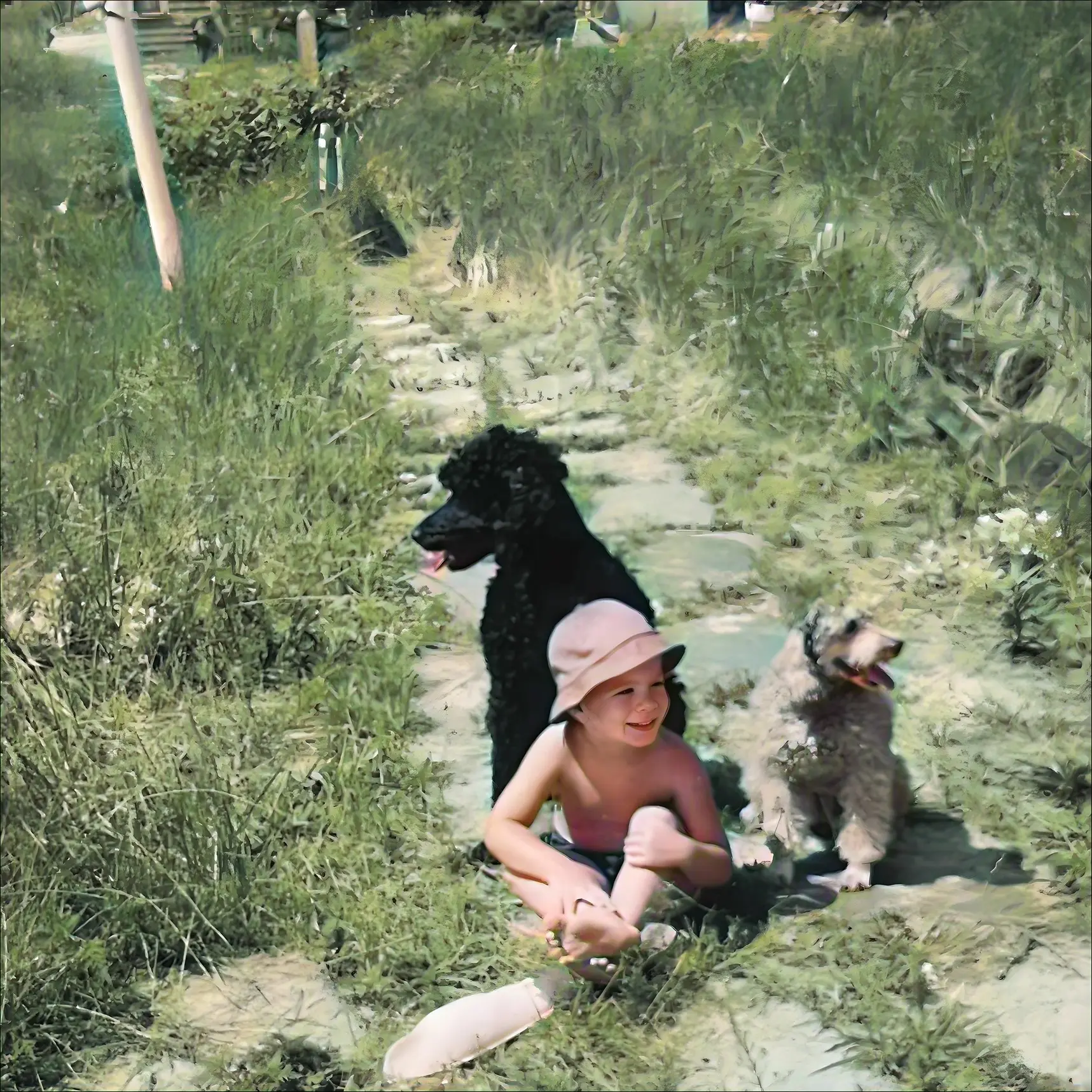 Smiling young boy in a sunhat sitting on a stone path with two poodles