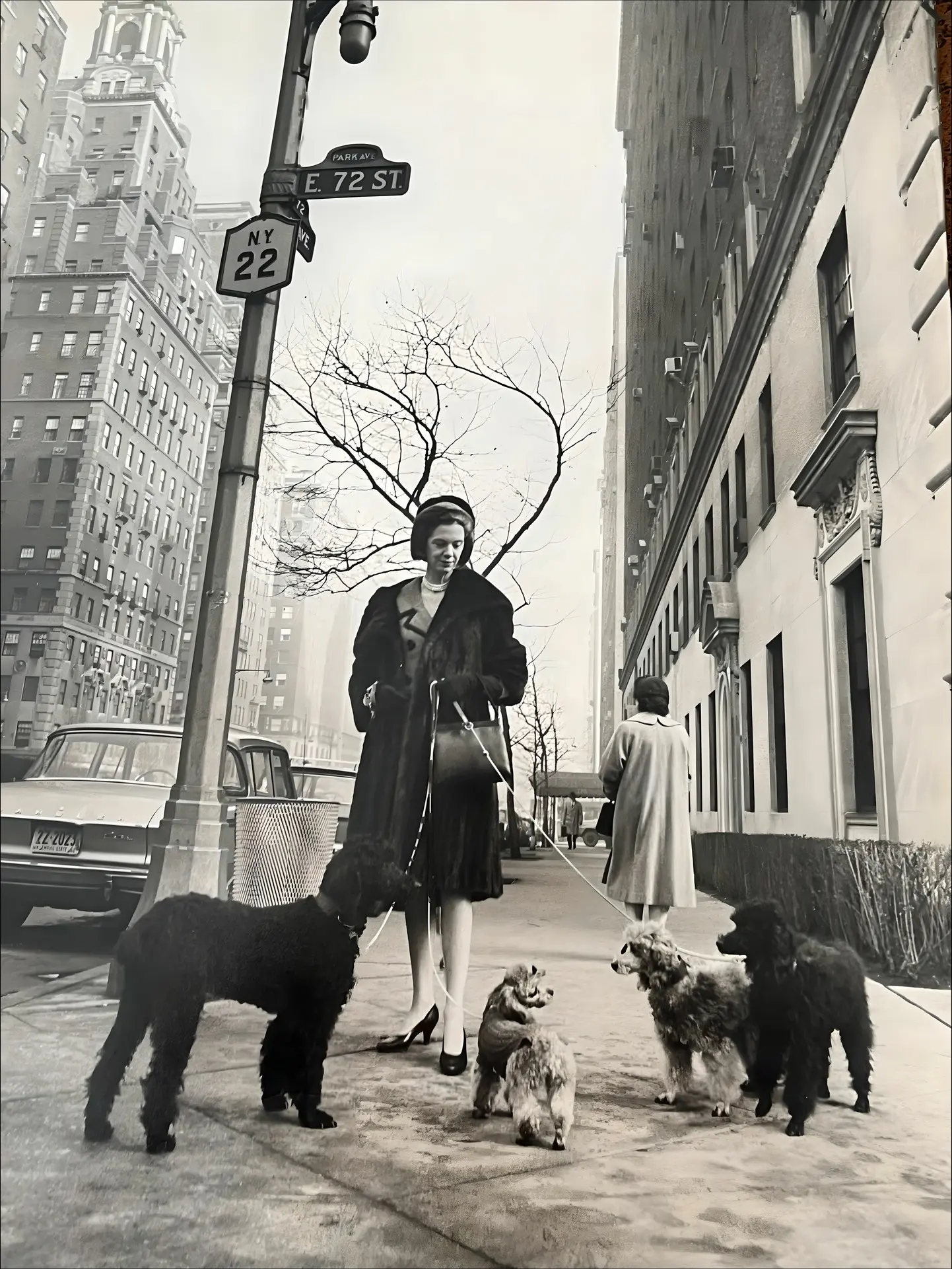 Lady in street with 4 dogs